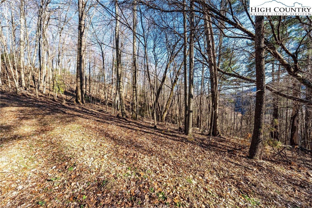 Tbd Lonesome Pine Trail Property Photo 20