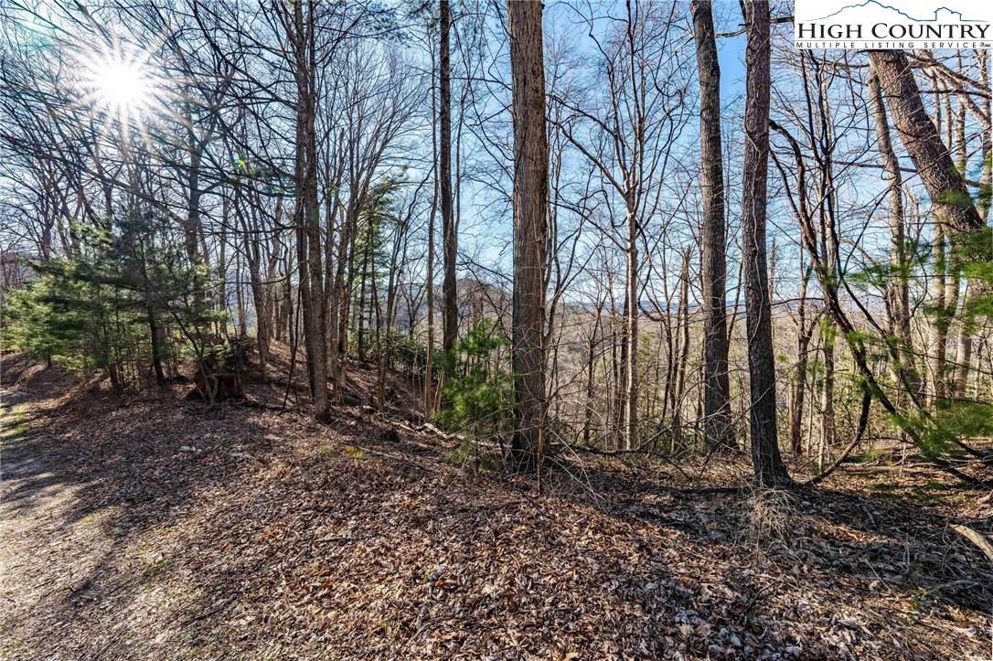 Tbd Lonesome Pine Trail Property Photo 21