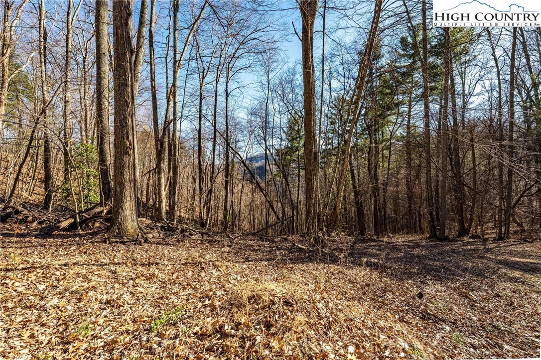 Tbd Lonesome Pine Trail Property Photo 22