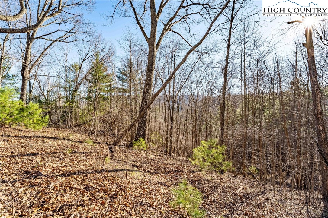 Tbd Lonesome Pine Trail Property Photo 23