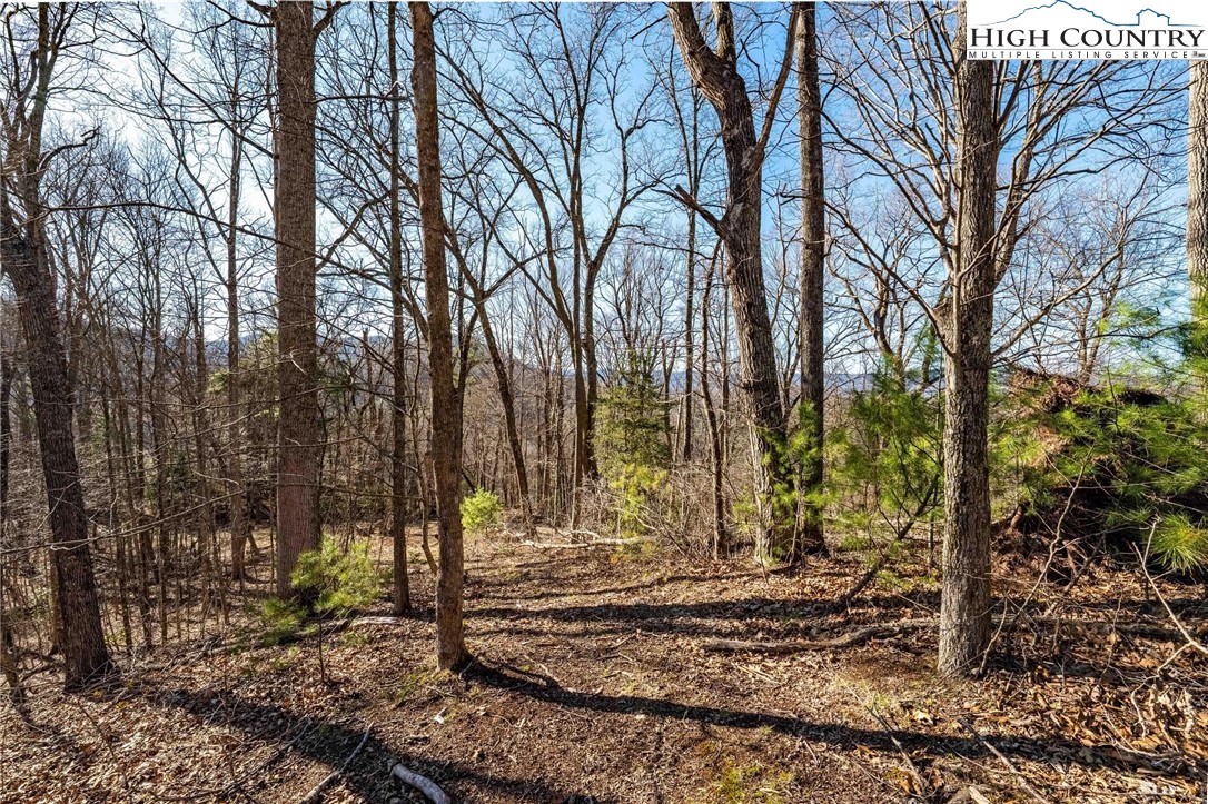 Tbd Lonesome Pine Trail Property Photo 24