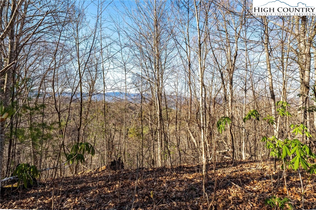 Tbd Lonesome Pine Trail Property Photo 25