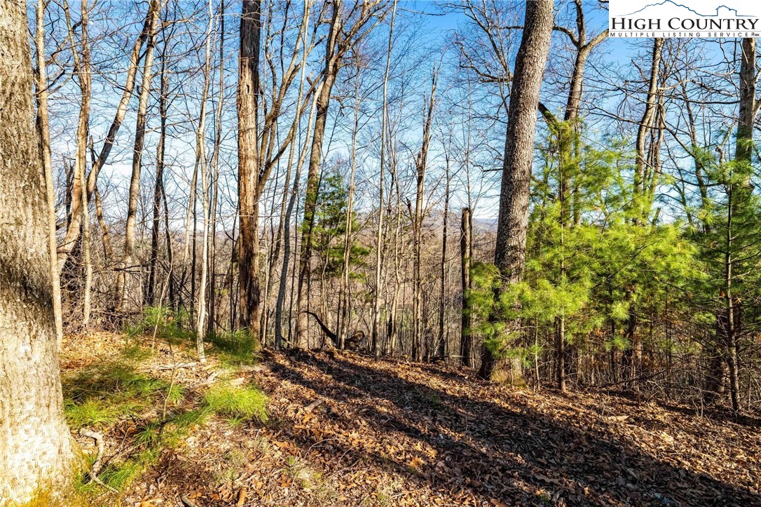 Tbd Lonesome Pine Trail Property Photo 26
