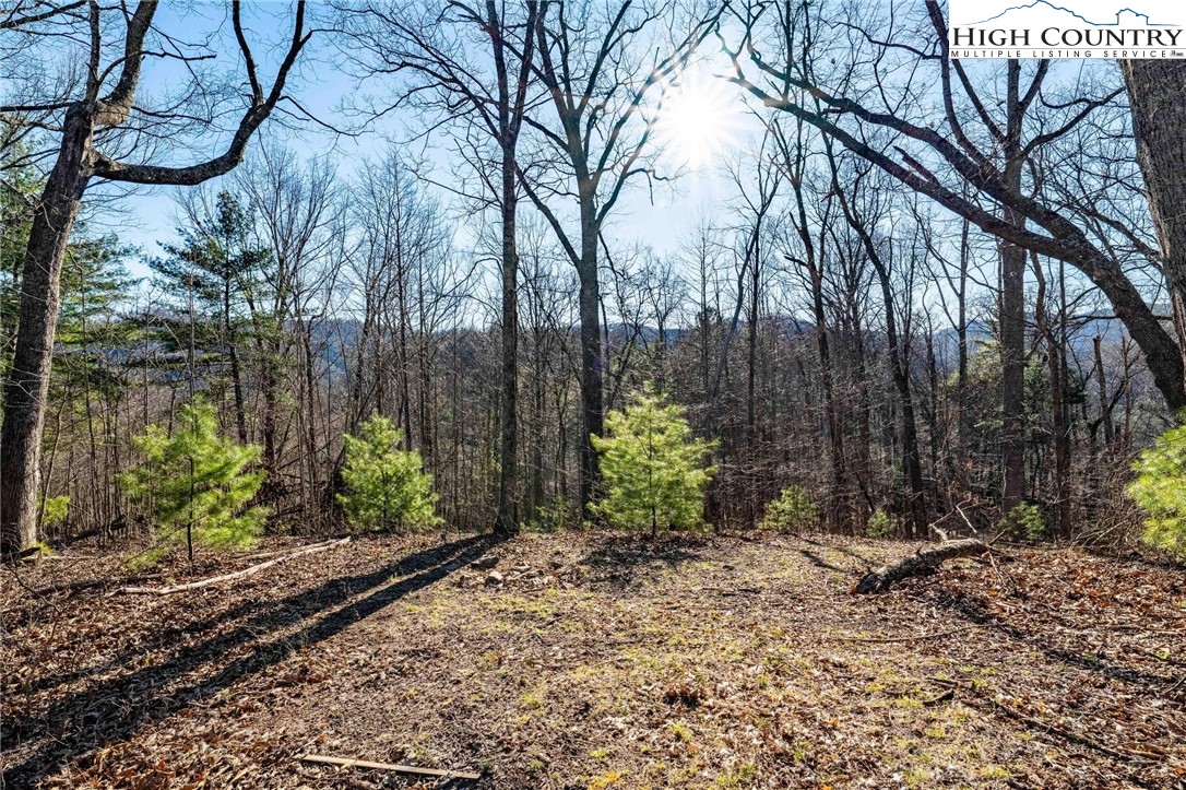 Tbd Lonesome Pine Trail Property Photo 27