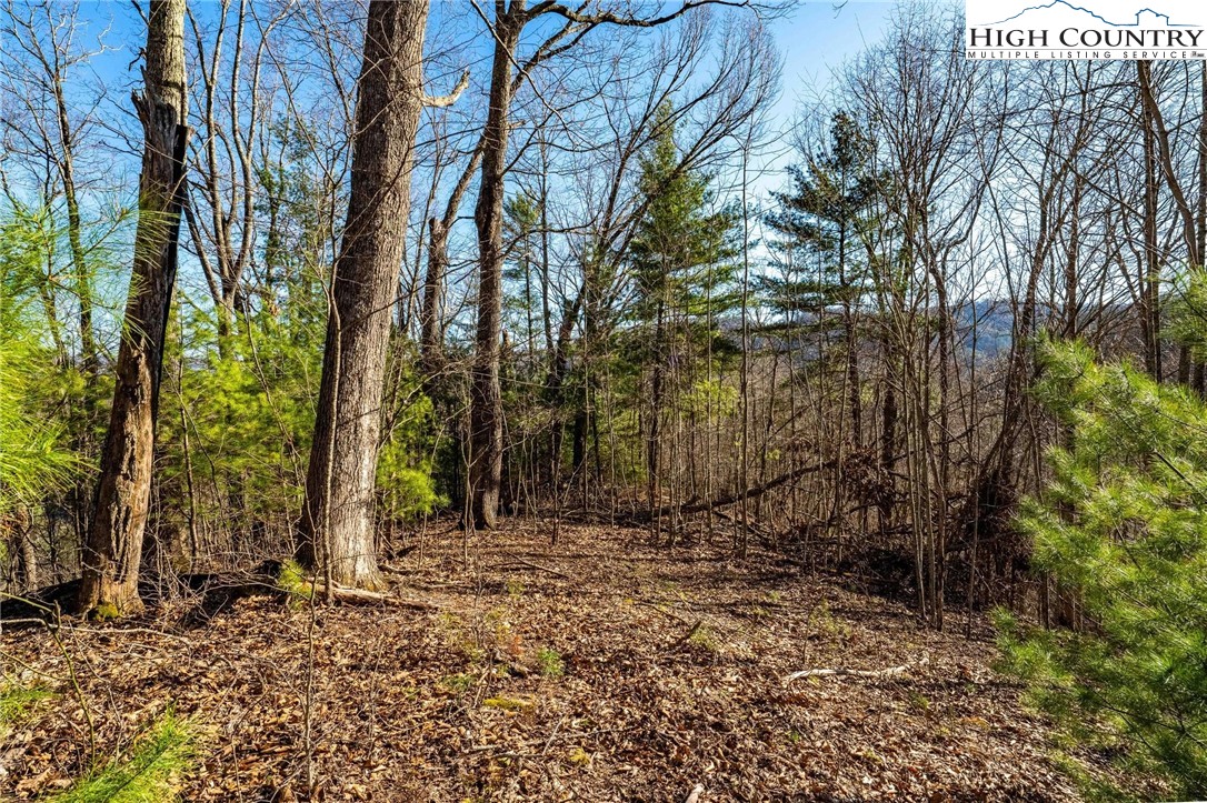Tbd Lonesome Pine Trail Property Photo 28