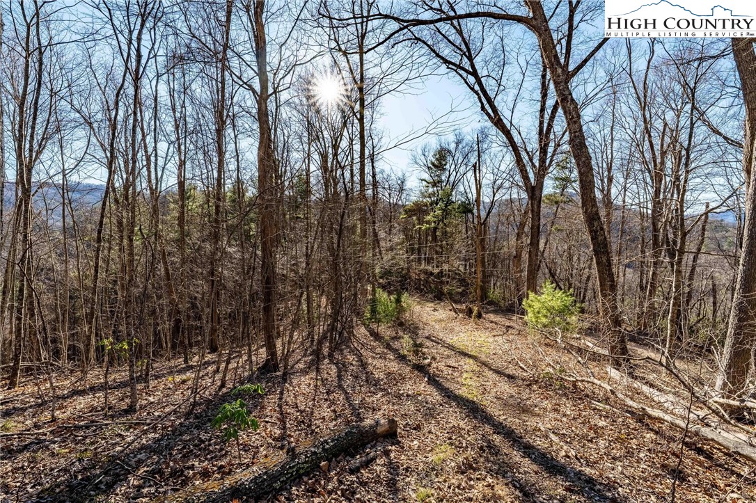 Tbd Lonesome Pine Trail Property Photo 29