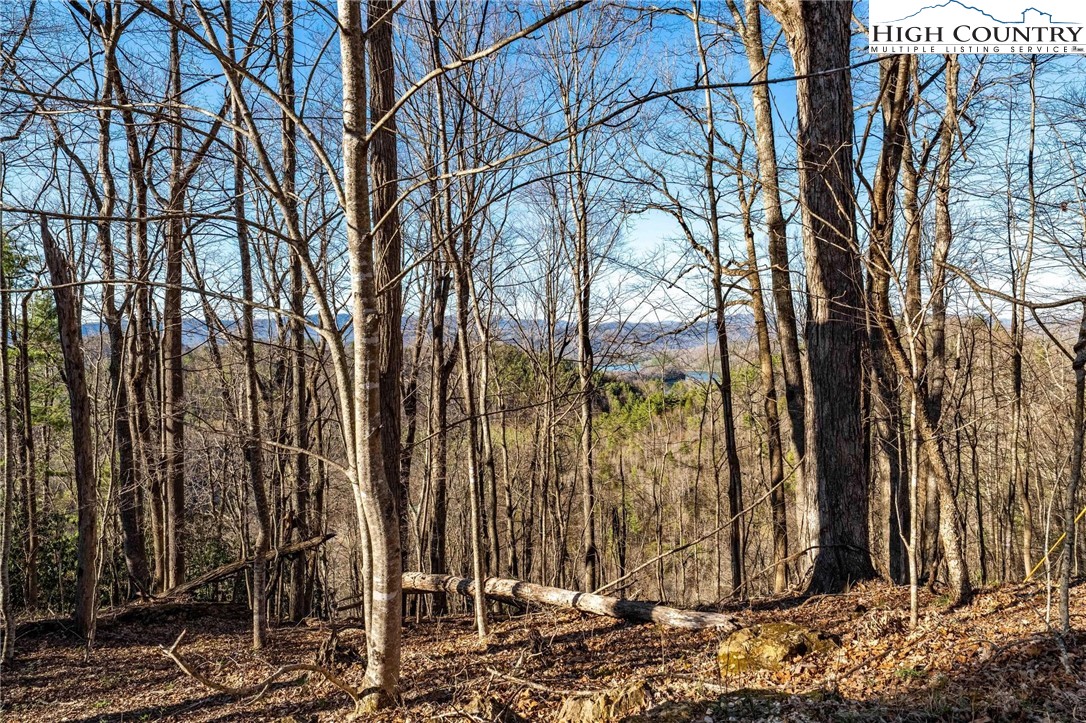 Tbd Lonesome Pine Trail Property Photo 30