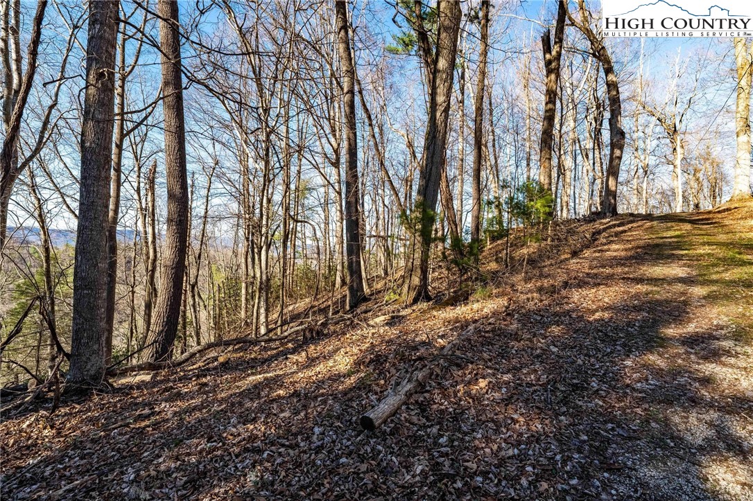 Tbd Lonesome Pine Trail Property Photo 31