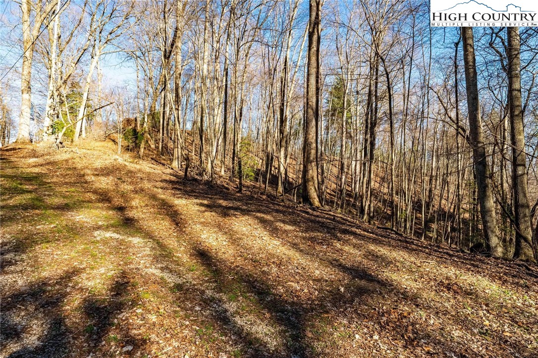Tbd Lonesome Pine Trail Property Photo 32