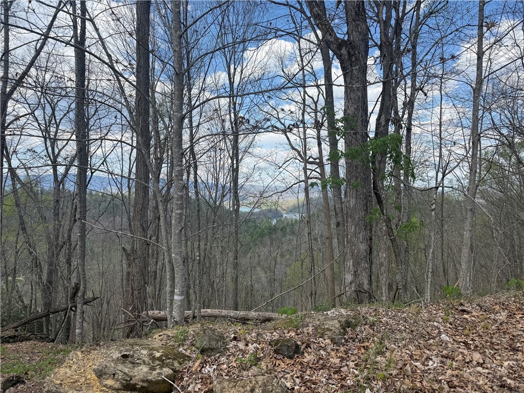 Tbd Lonesome Pine Trail Property Photo 34