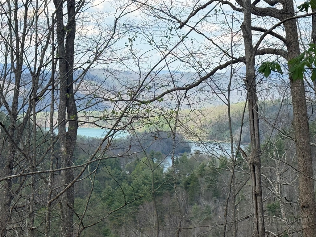 Tbd Lonesome Pine Trail Property Photo 35