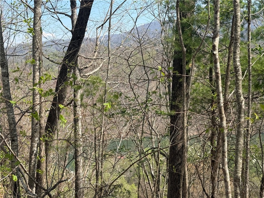 Tbd Lonesome Pine Trail Property Photo 36