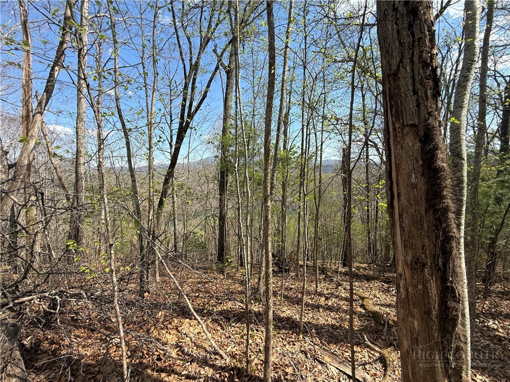 Tbd Lonesome Pine Trail Property Photo 37