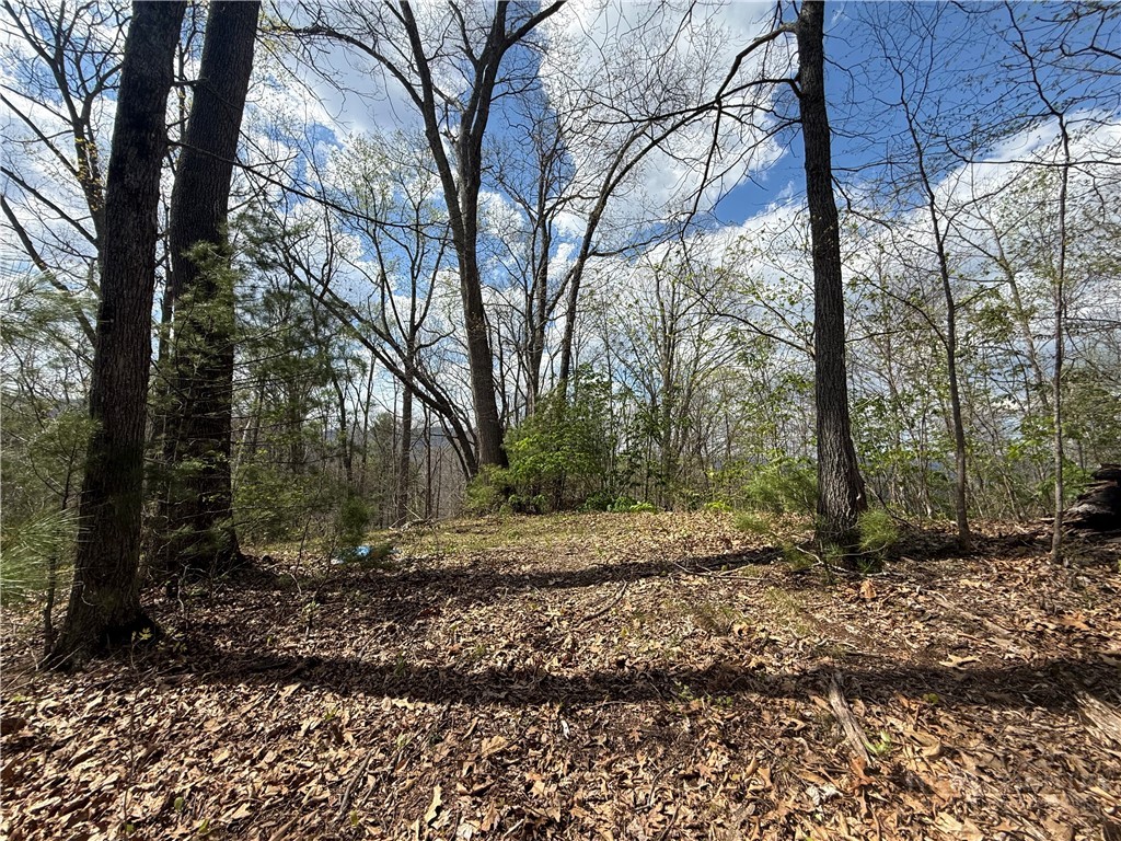 Tbd Lonesome Pine Trail Property Photo 38