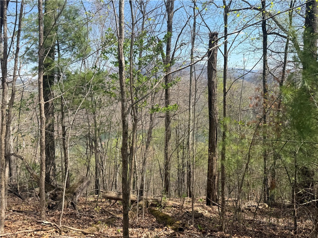 Tbd Lonesome Pine Trail Property Photo 39
