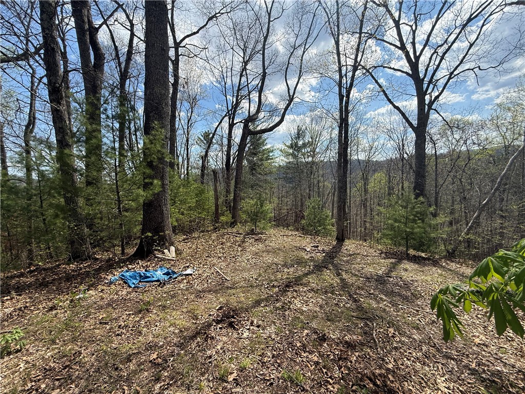 Tbd Lonesome Pine Trail Property Photo 40