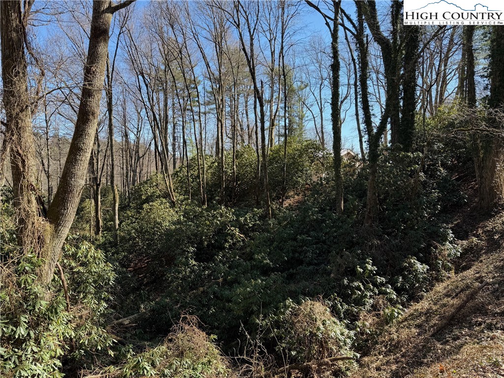 Tbd Wonderland Trail Property Photo 1