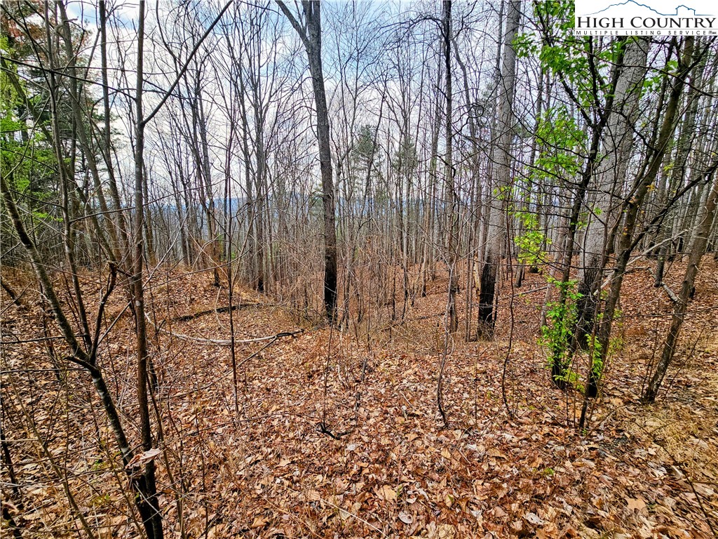 Lot 61 Tomahawk Ridge Drive Property Photo 2