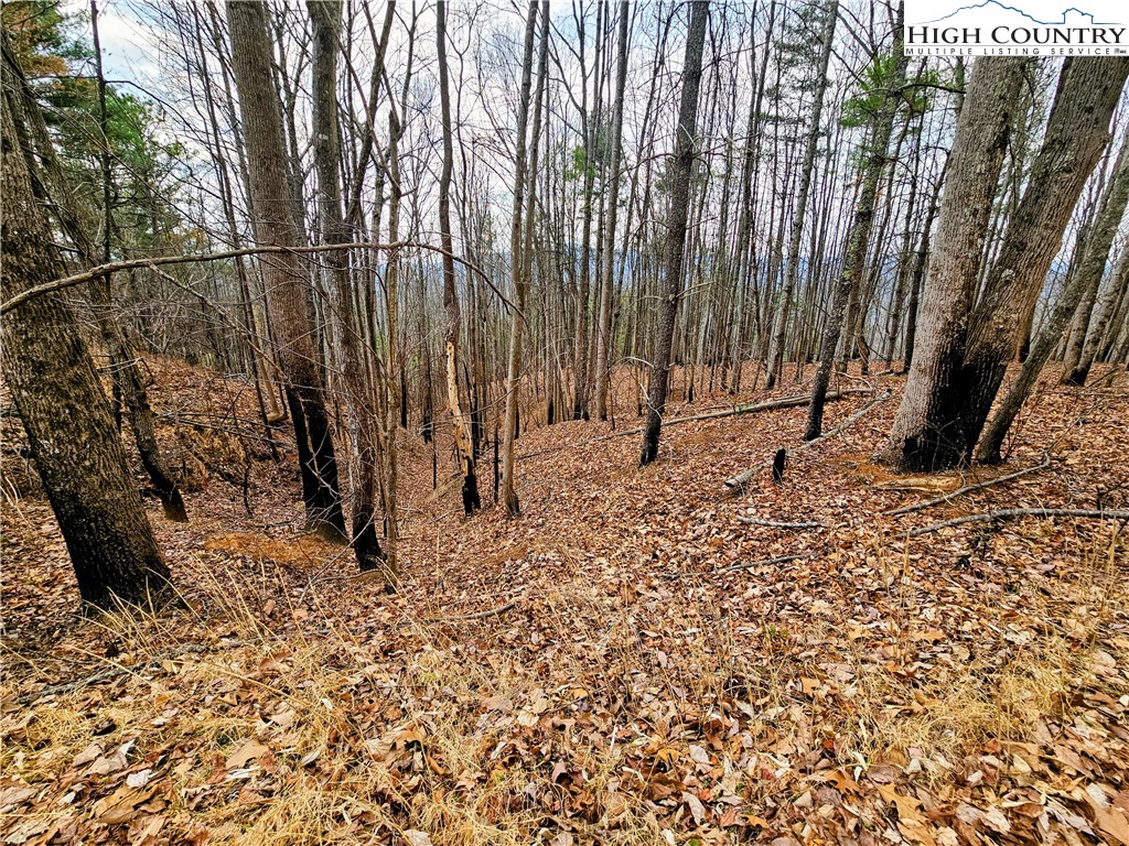 Lot 61 Tomahawk Ridge Drive Property Photo 4