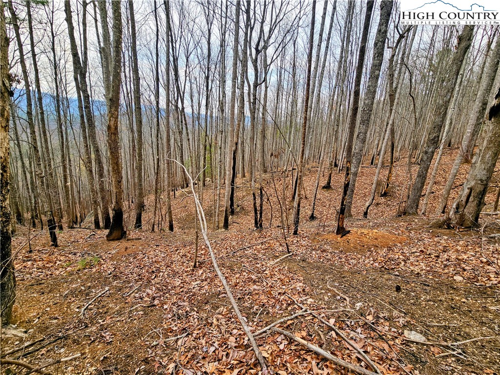 Lot 61 Tomahawk Ridge Drive Property Photo 5
