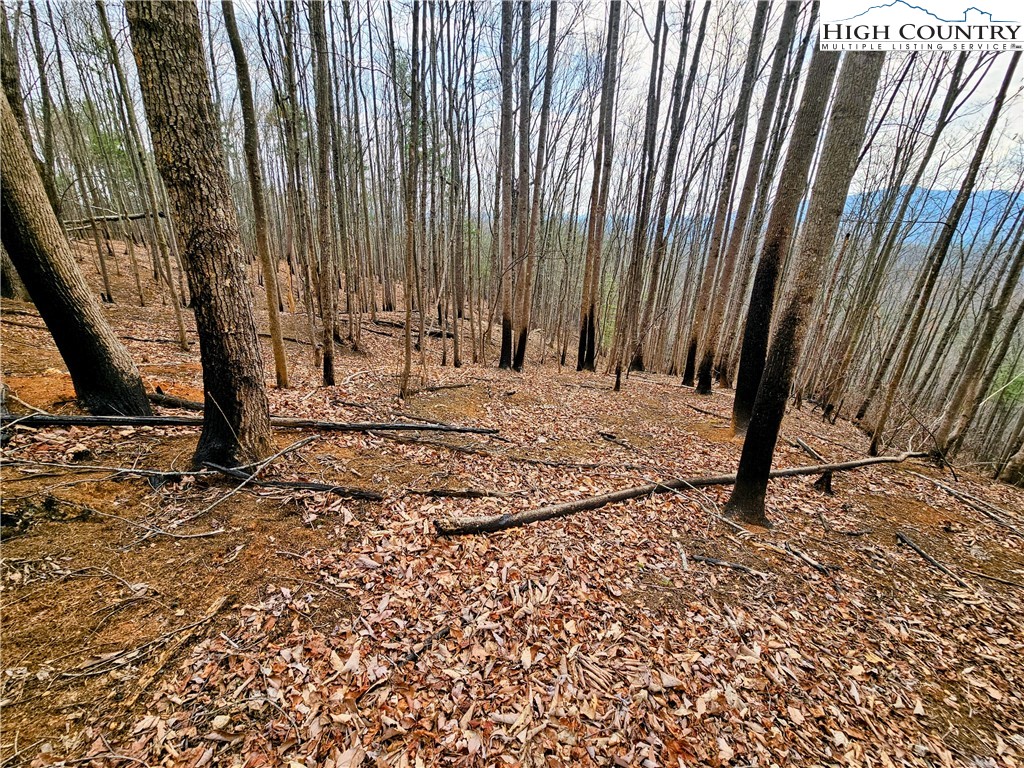 Lot 61 Tomahawk Ridge Drive Property Photo 6