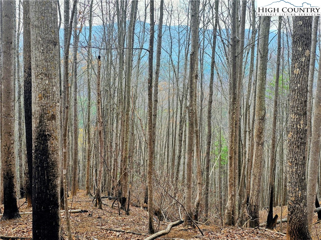 Lot 61 Tomahawk Ridge Drive Property Photo 7