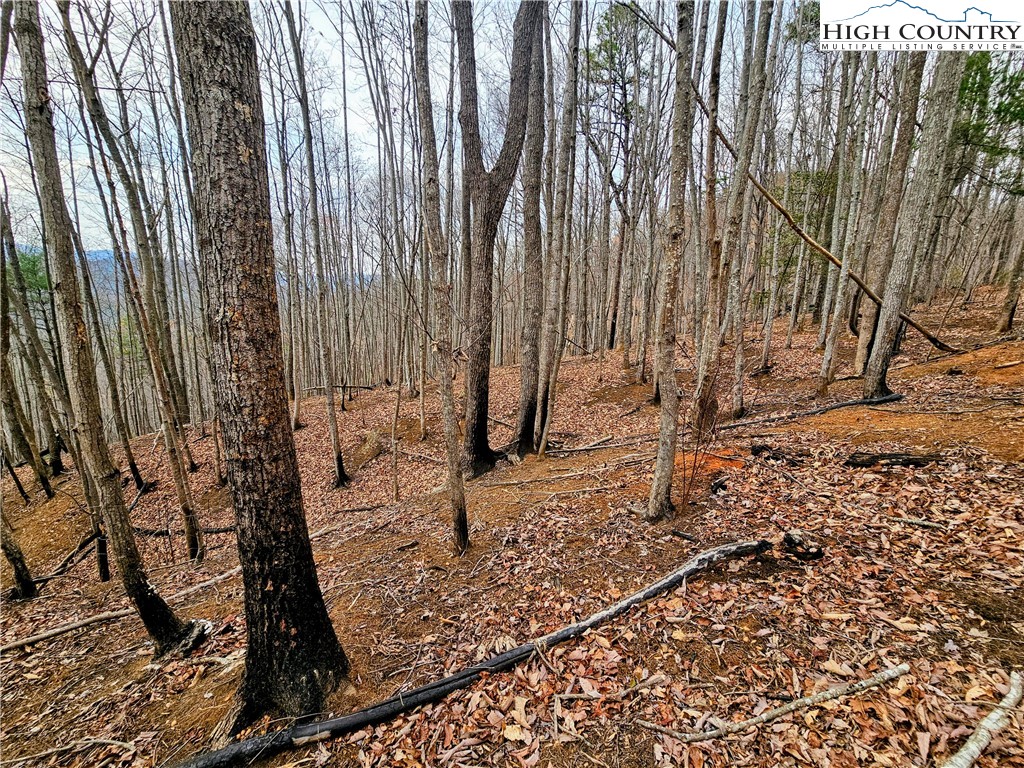 Lot 61 Tomahawk Ridge Drive Property Photo 8