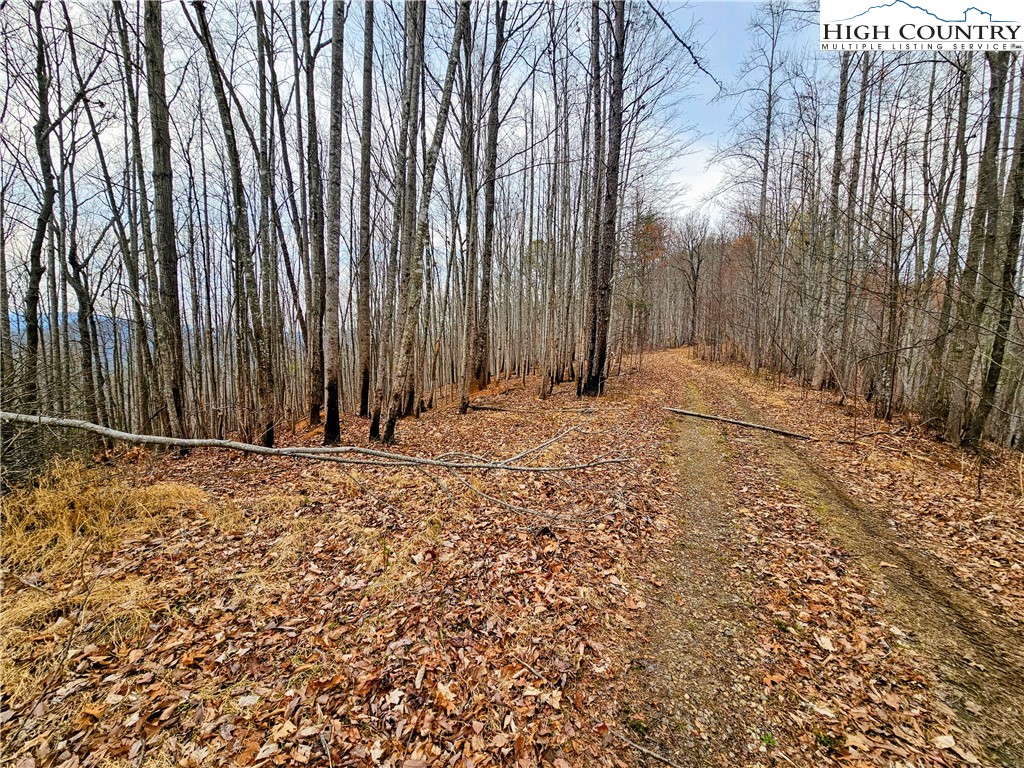Lot 61 Tomahawk Ridge Drive Property Photo 9