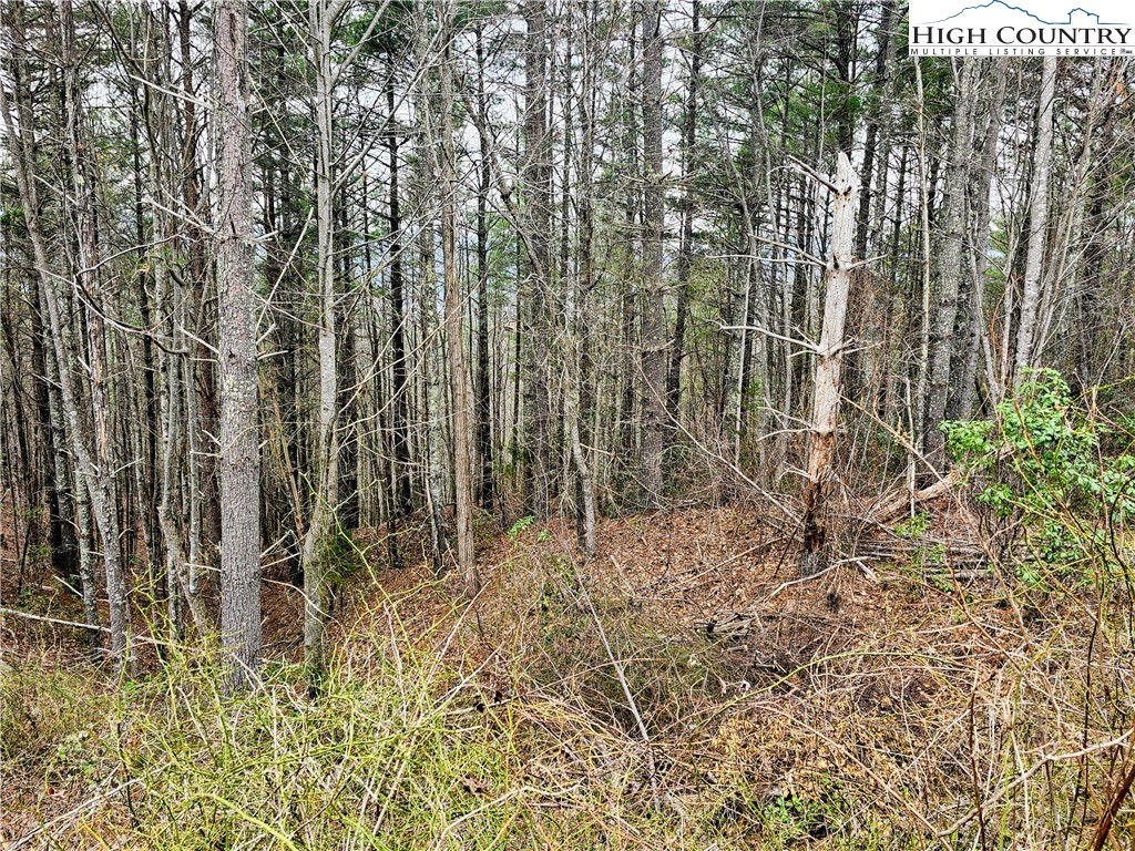 Lot 55 Tomahawk Ridge Drive Property Photo 2