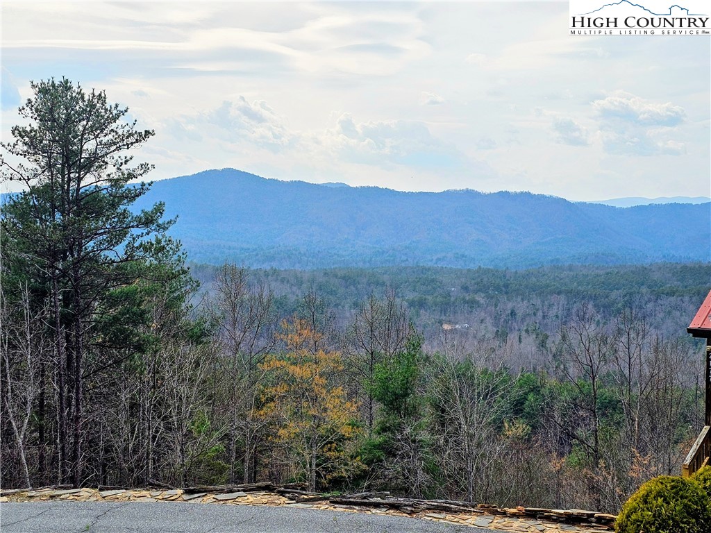 Lot 55 Tomahawk Ridge Drive Property Photo 3