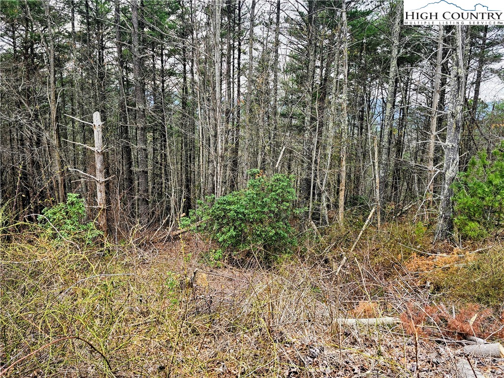 Lot 55 Tomahawk Ridge Drive Property Photo 4