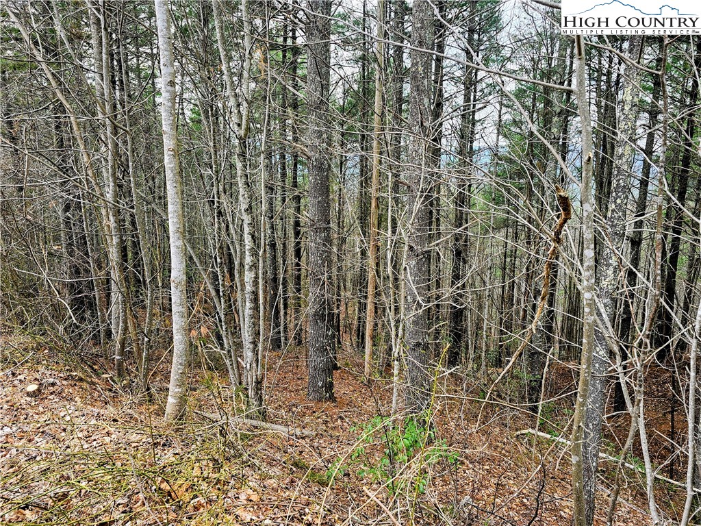 Lot 55 Tomahawk Ridge Drive Property Photo 5