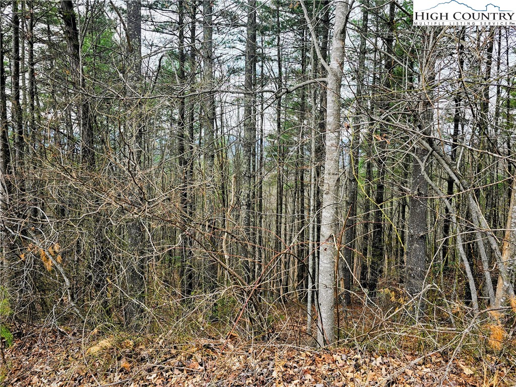 Lot 55 Tomahawk Ridge Drive Property Photo 6