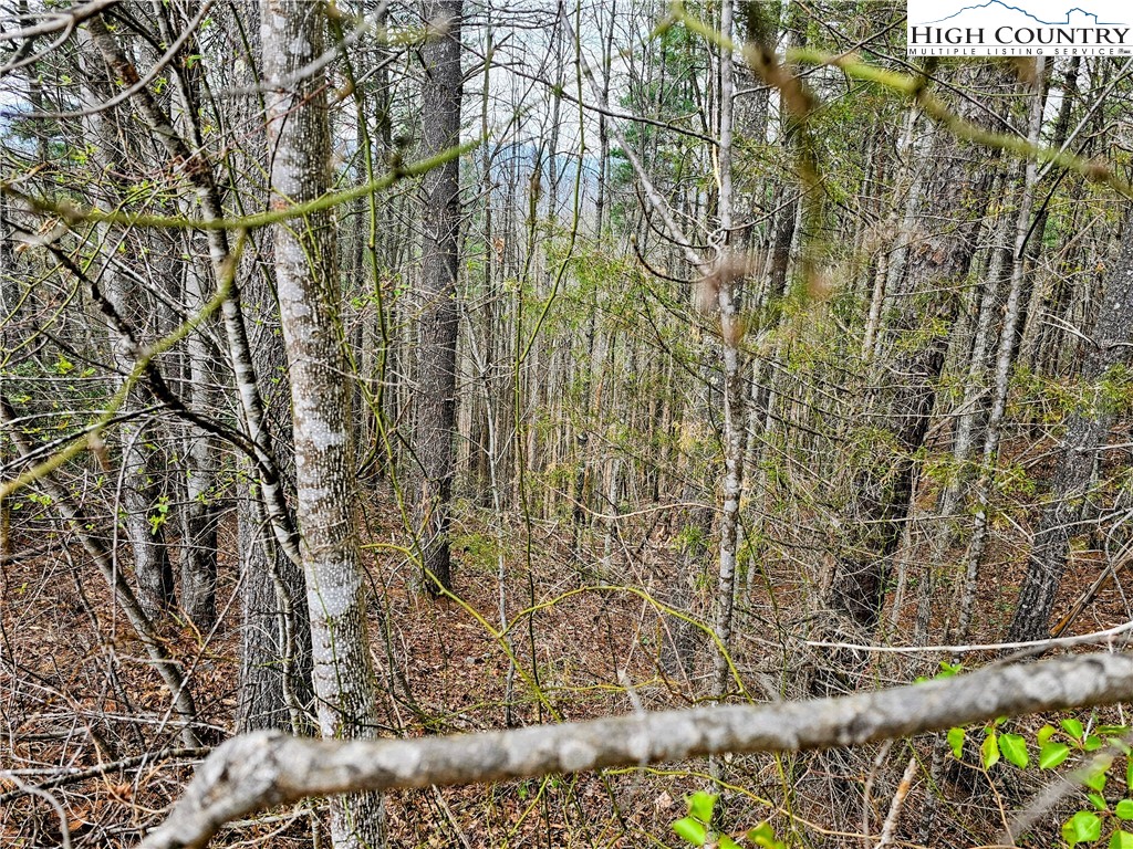 Lot 55 Tomahawk Ridge Drive Property Photo 7