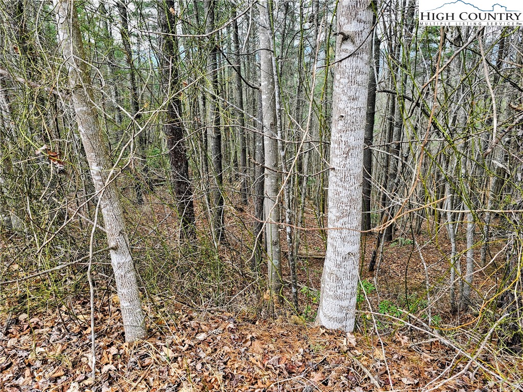 Lot 55 Tomahawk Ridge Drive Property Photo 8