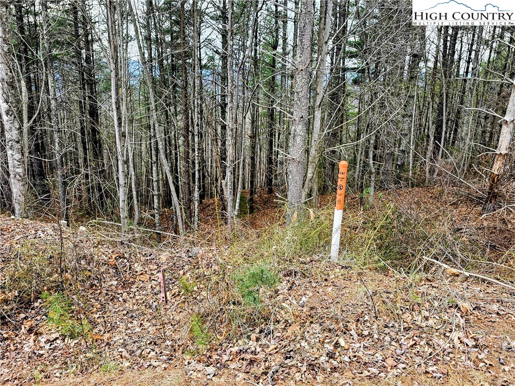 Lot 55 Tomahawk Ridge Drive Property Photo 9