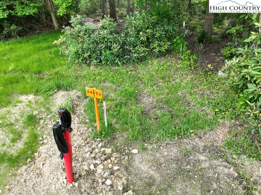 1764 Ripshin Mountain Road Property Photo 3