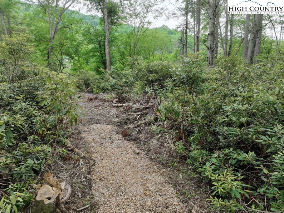 1764 Ripshin Mountain Road Property Photo 11