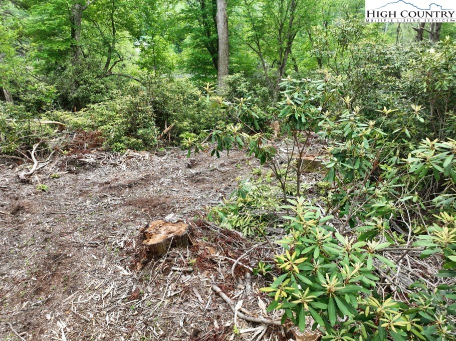 1764 Ripshin Mountain Road Property Photo 15