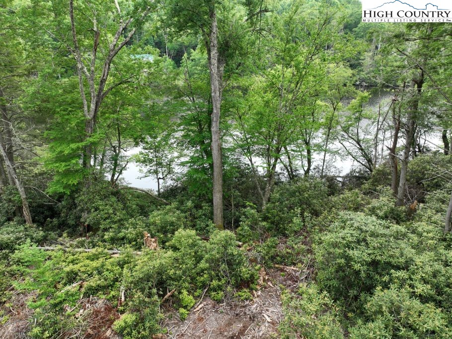 1764 Ripshin Mountain Road Property Photo 16
