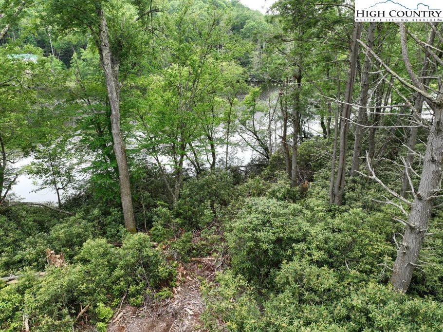 1764 Ripshin Mountain Road Property Photo 17