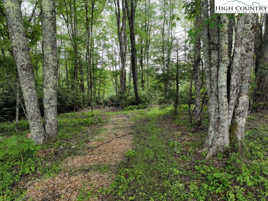 1776 Ripshin Mountain Road Property Photo 1