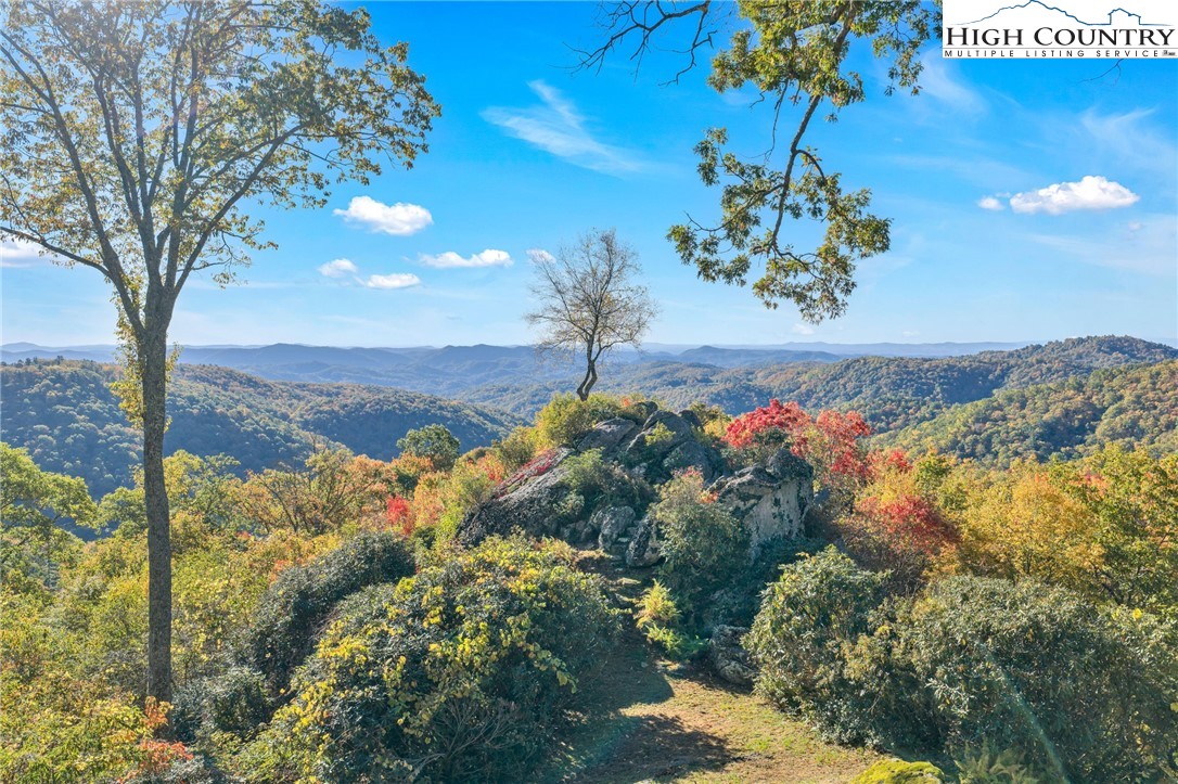 933 Thunder Ridge Lane Property Photo 43