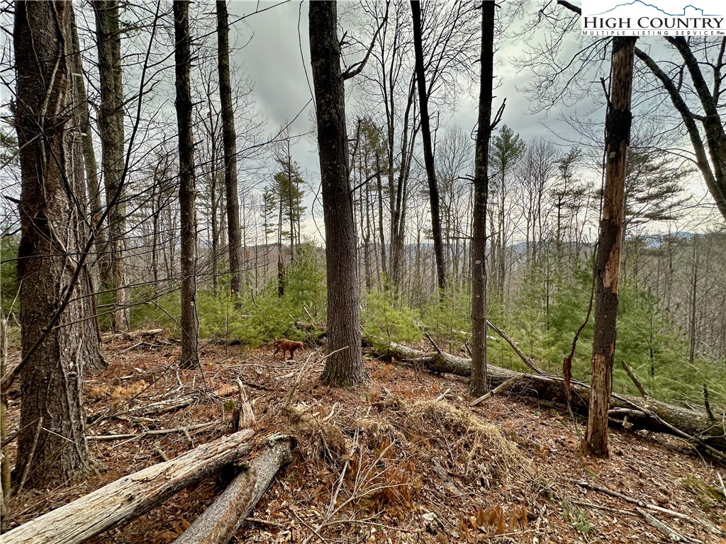 Tbd Mantera Ridge Property Photo 4