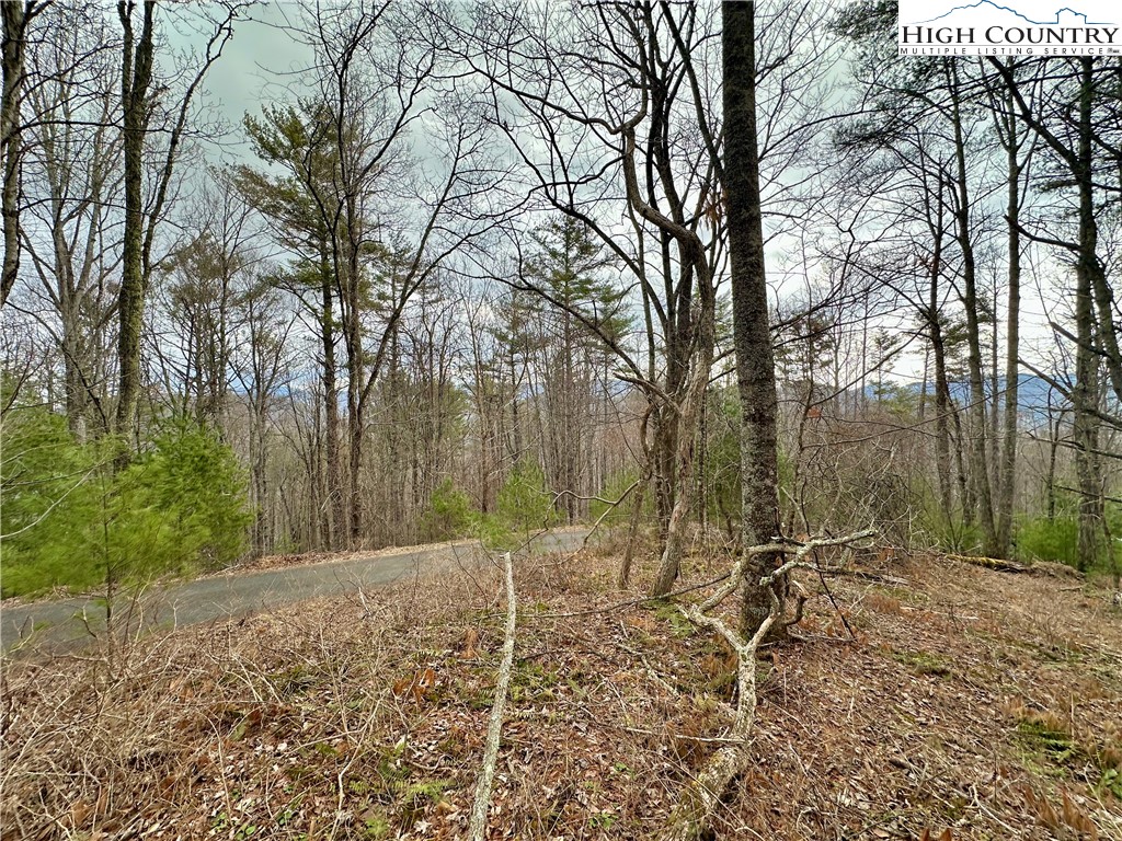 Tbd Mantera Ridge Property Photo 5