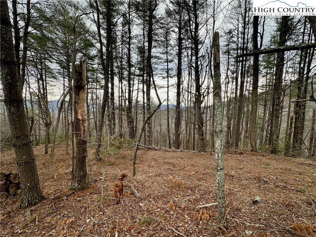 Tbd Mantera Ridge Property Photo 6