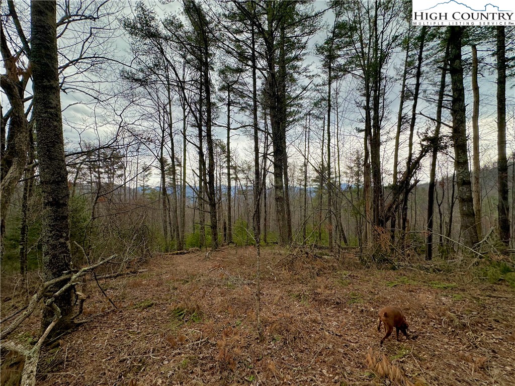 Tbd Mantera Ridge Property Photo 9