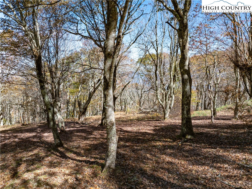 663 Rocky Parkway Property Photo 3