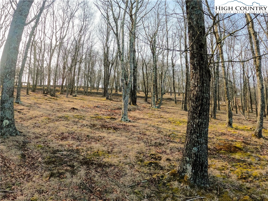 663 Rocky Parkway Property Photo 7