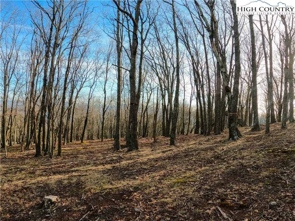 663 Rocky Parkway Property Photo 8